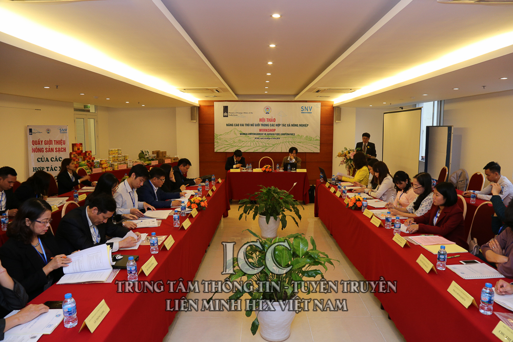 Sự kiện nổi bật